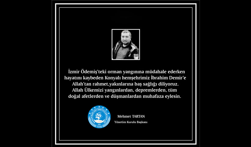 İzmir Ödemiş Orman Yangını
